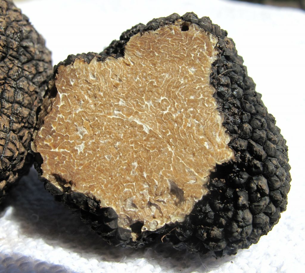 recette omelette aux truffes